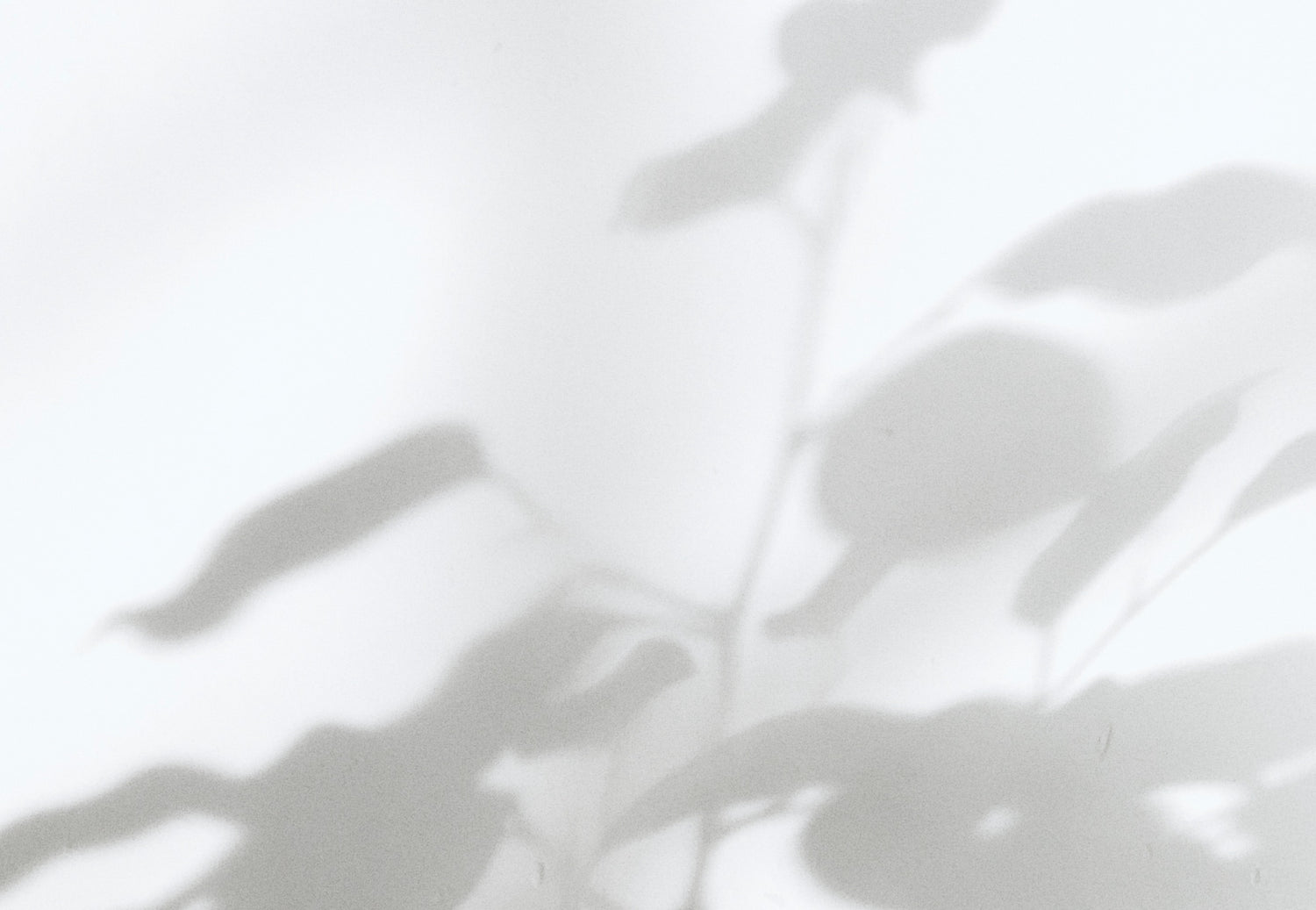 加齢でまつげが抜ける!?今すぐ始めたい「まつ育」の基本ルーティン